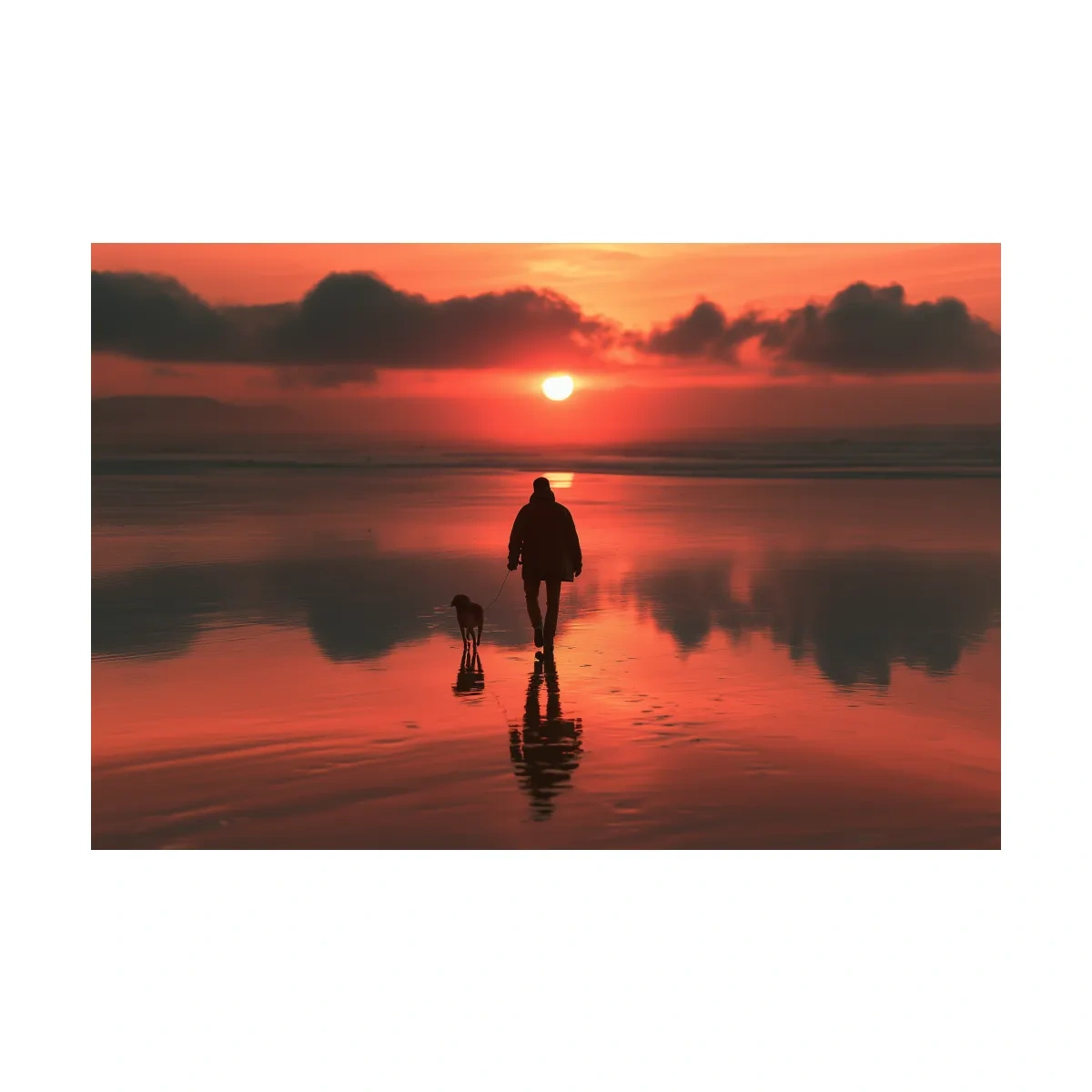 Surreal Dog Walker Silhouette - Misty Beach Sunset Photographic Wall Art
