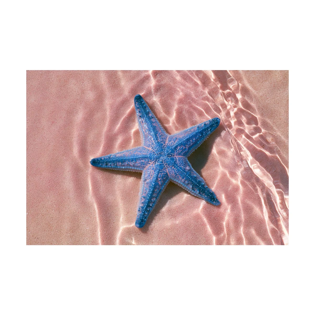 Minimalist Starfish Underwater - Photographic Marine Life Wall Art