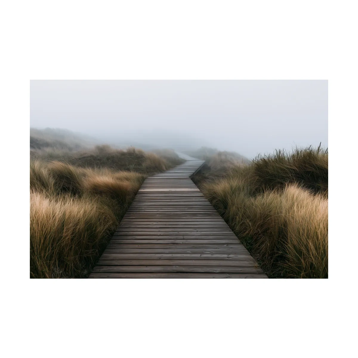 Misty Dune Boardwalk - Boho Photographic Beach Wall Art