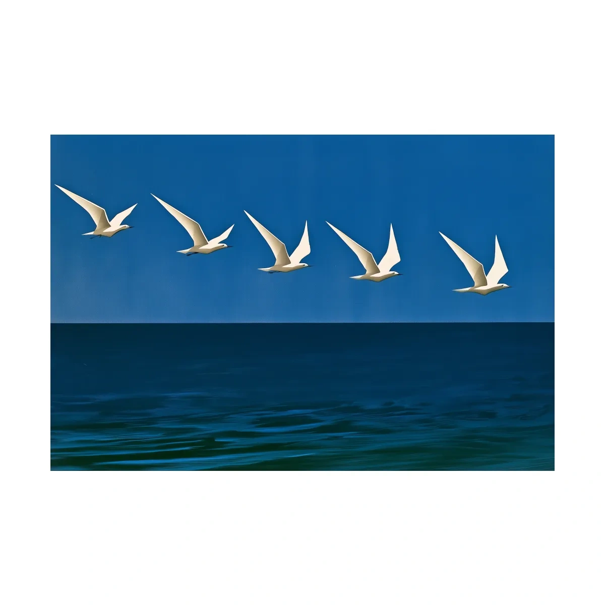 Mid-Century Seagull Flight - Minimalist Ocean Illustration Wall Art