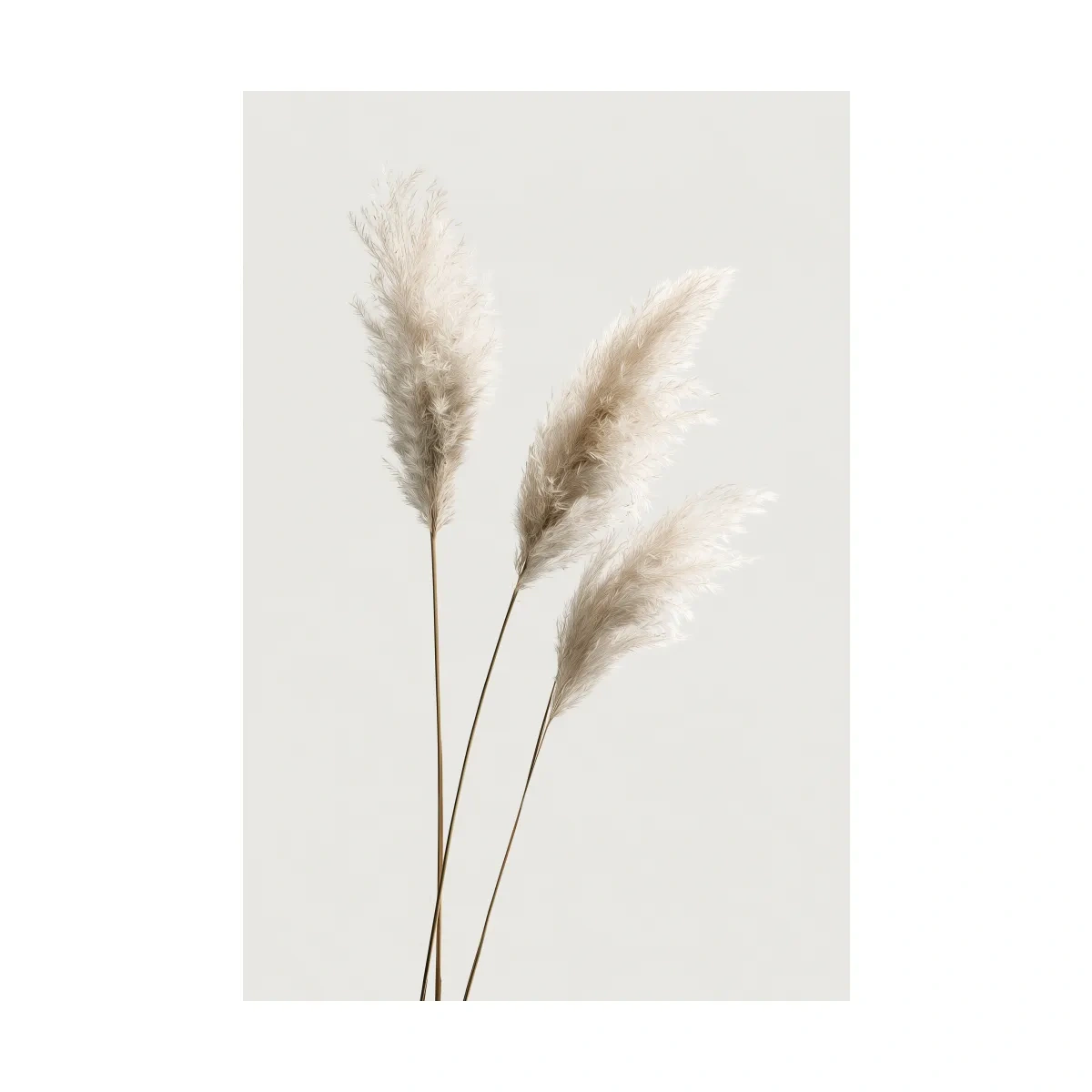 Minimalist Pampas Grass Illustration - Boho Botanical Wall Art
