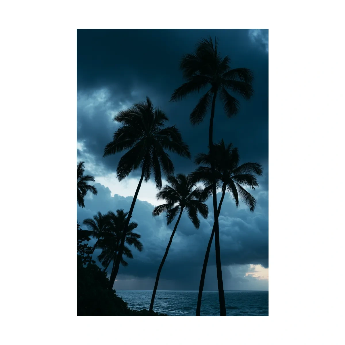 Misty Tropical Palm Trees - Dramatic Ocean Photographic Wall Art
