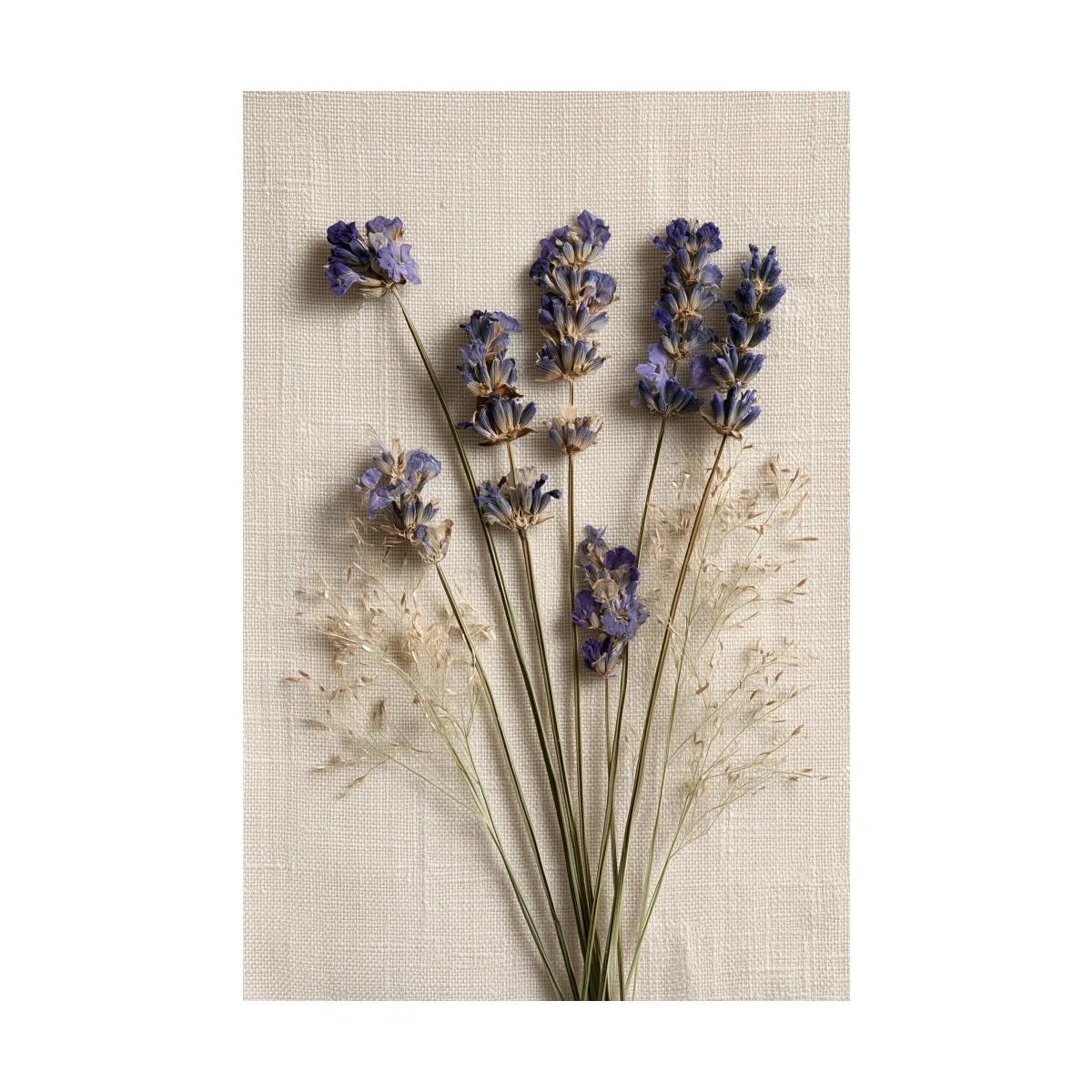 Pressed Coastal Lavender Flowers - Minimalist Photographic Botanical Wall Art