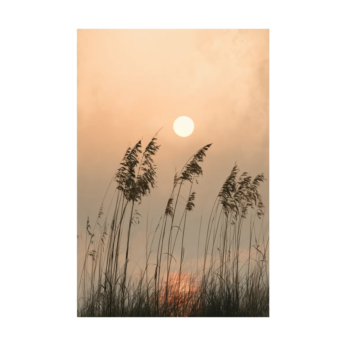 Surreal Seagrass Silhouette Sunset - Boho Botanical Illustration Art