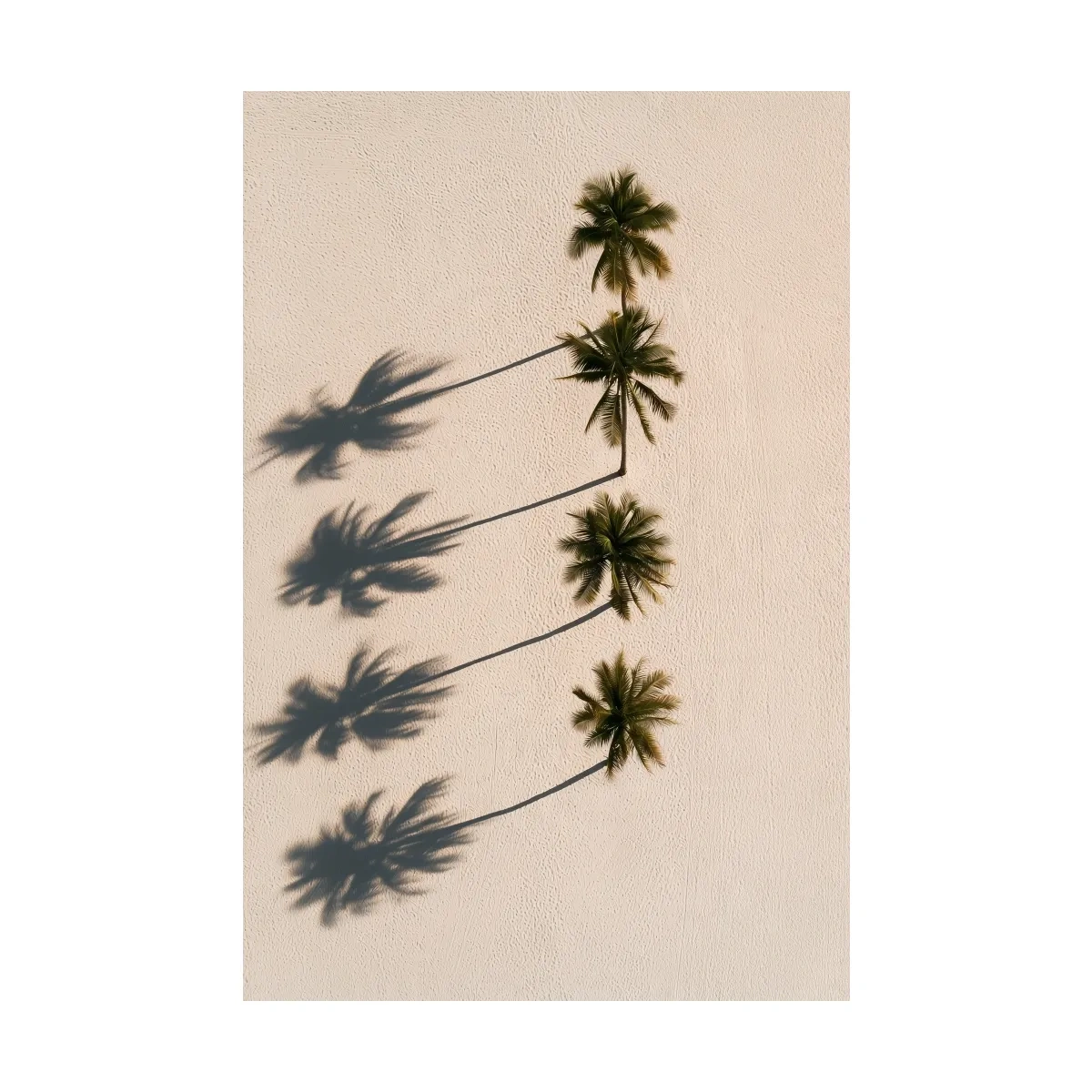 Aerial Tropical Palm Shadows - Minimalist Photographic Wall Art