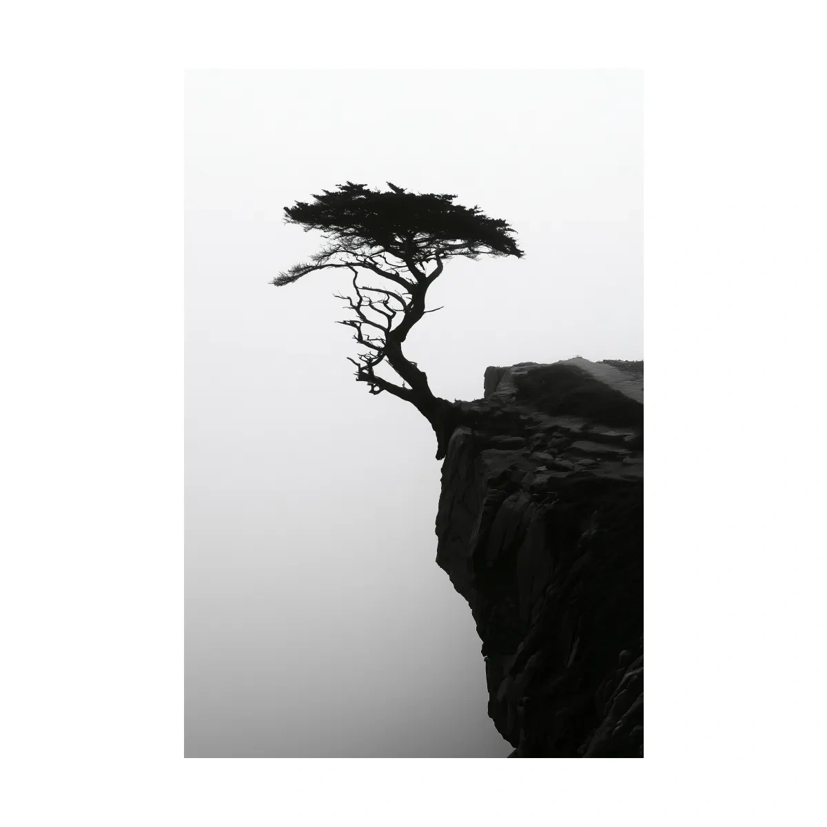 Misty Cypress Silhouette Cliff - Minimalist Photographic Wall Art