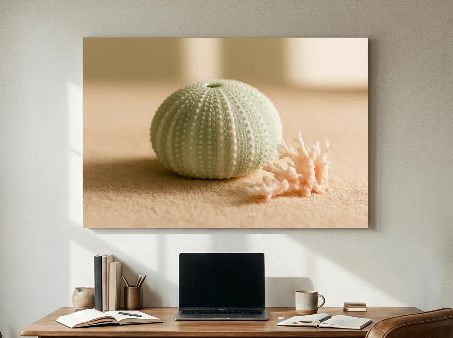 Sea Urchin Shell & Coral - Coastal Photographic Wall Art