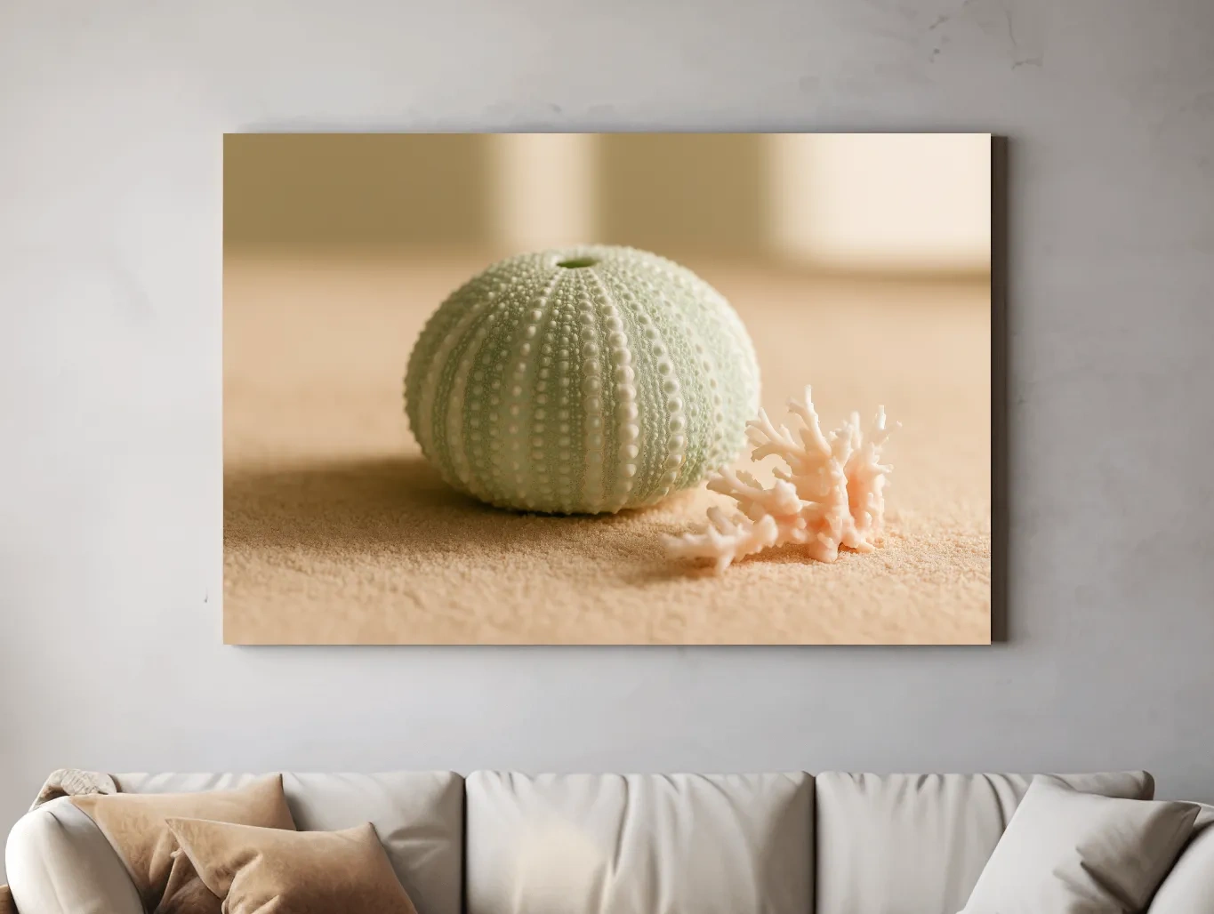 Sea Urchin Shell & Coral - Coastal Photographic Wall Art