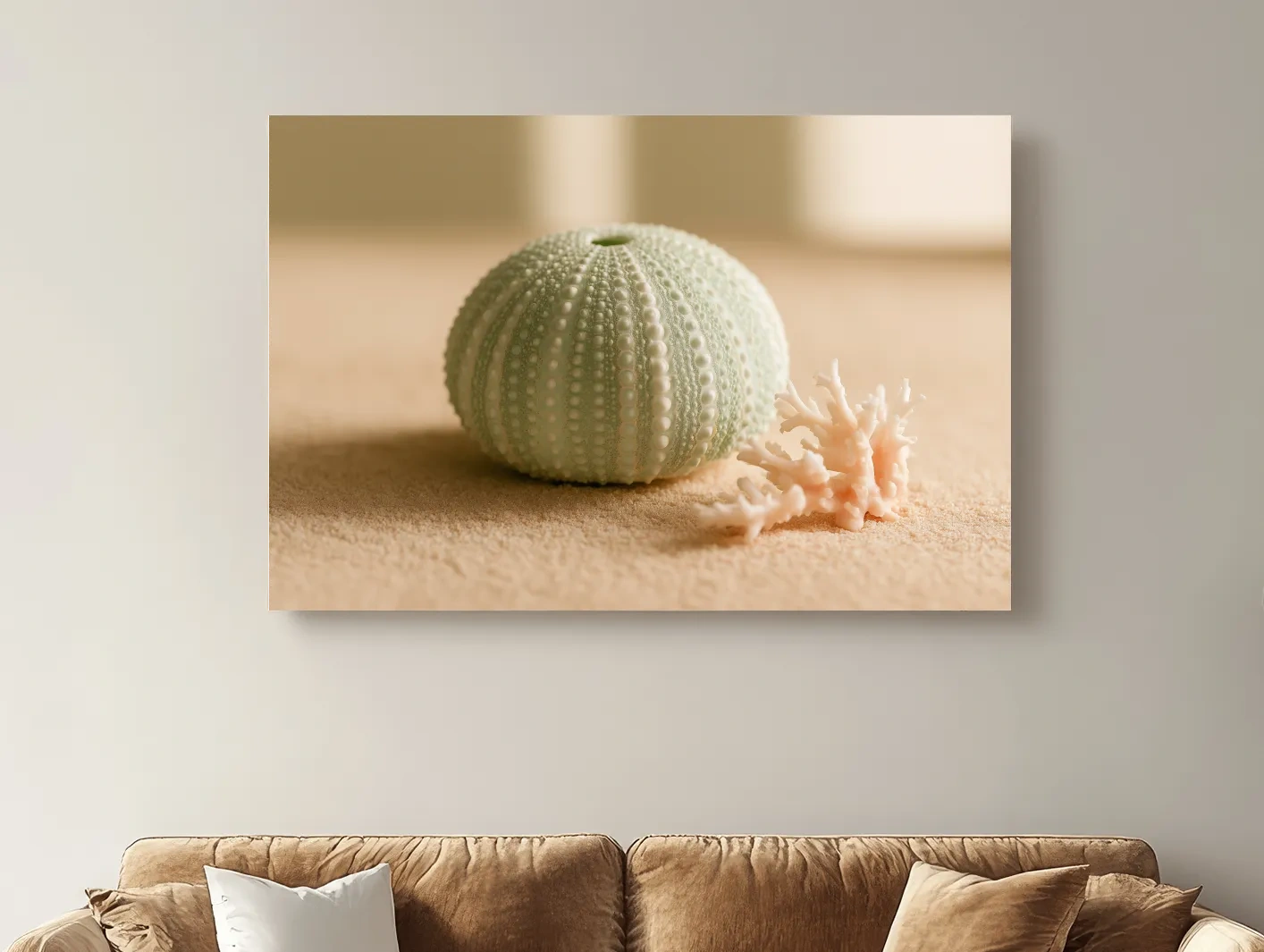 Sea Urchin Shell & Coral - Coastal Photographic Wall Art