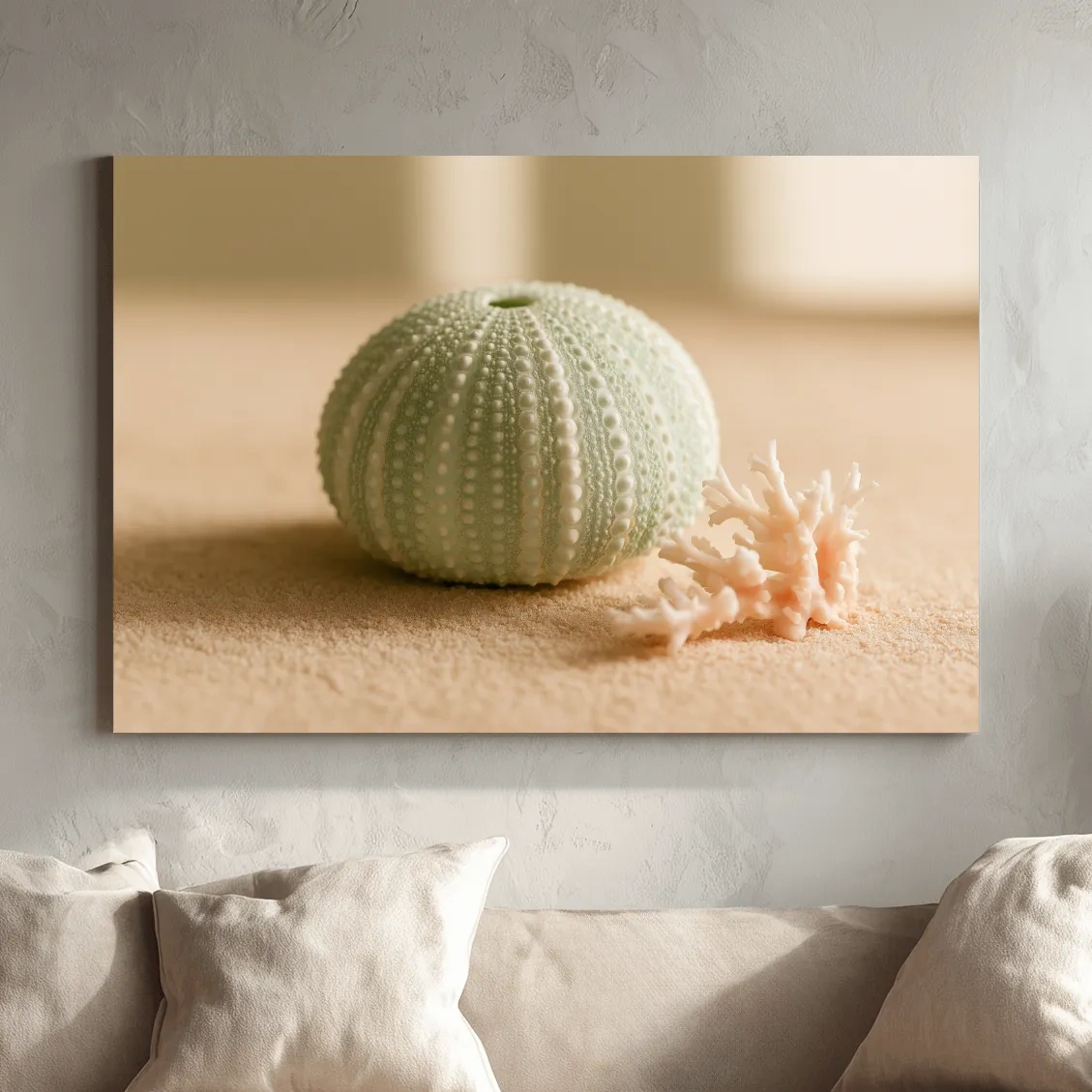 Sea Urchin Shell & Coral - Coastal Photographic Wall Art