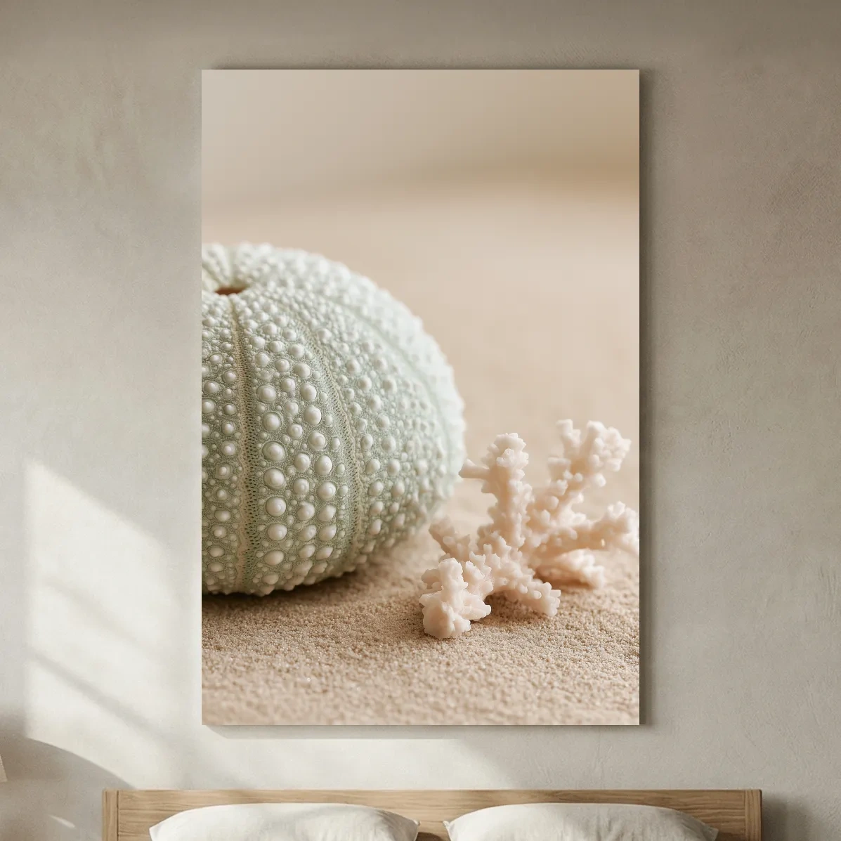 Sea Urchin Shell and Coral - Photographic Coastal Wall Art