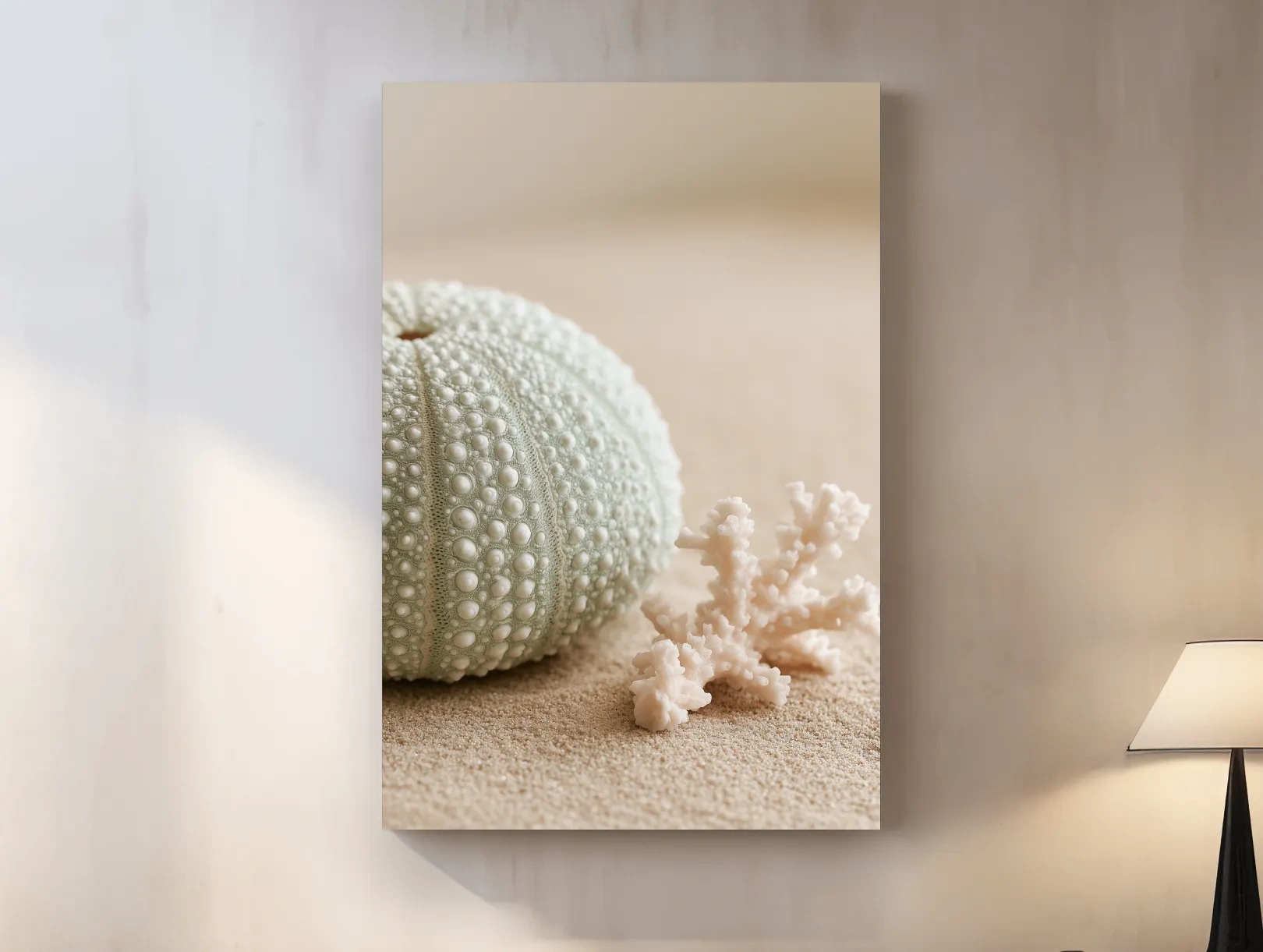 Sea Urchin Shell and Coral - Photographic Coastal Wall Art