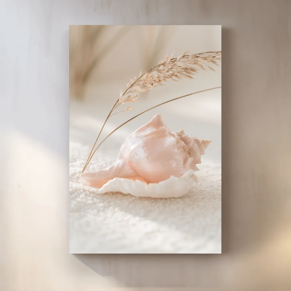 Pearlescent Conch Shell Still Life - Photographic Coastal Wall Art