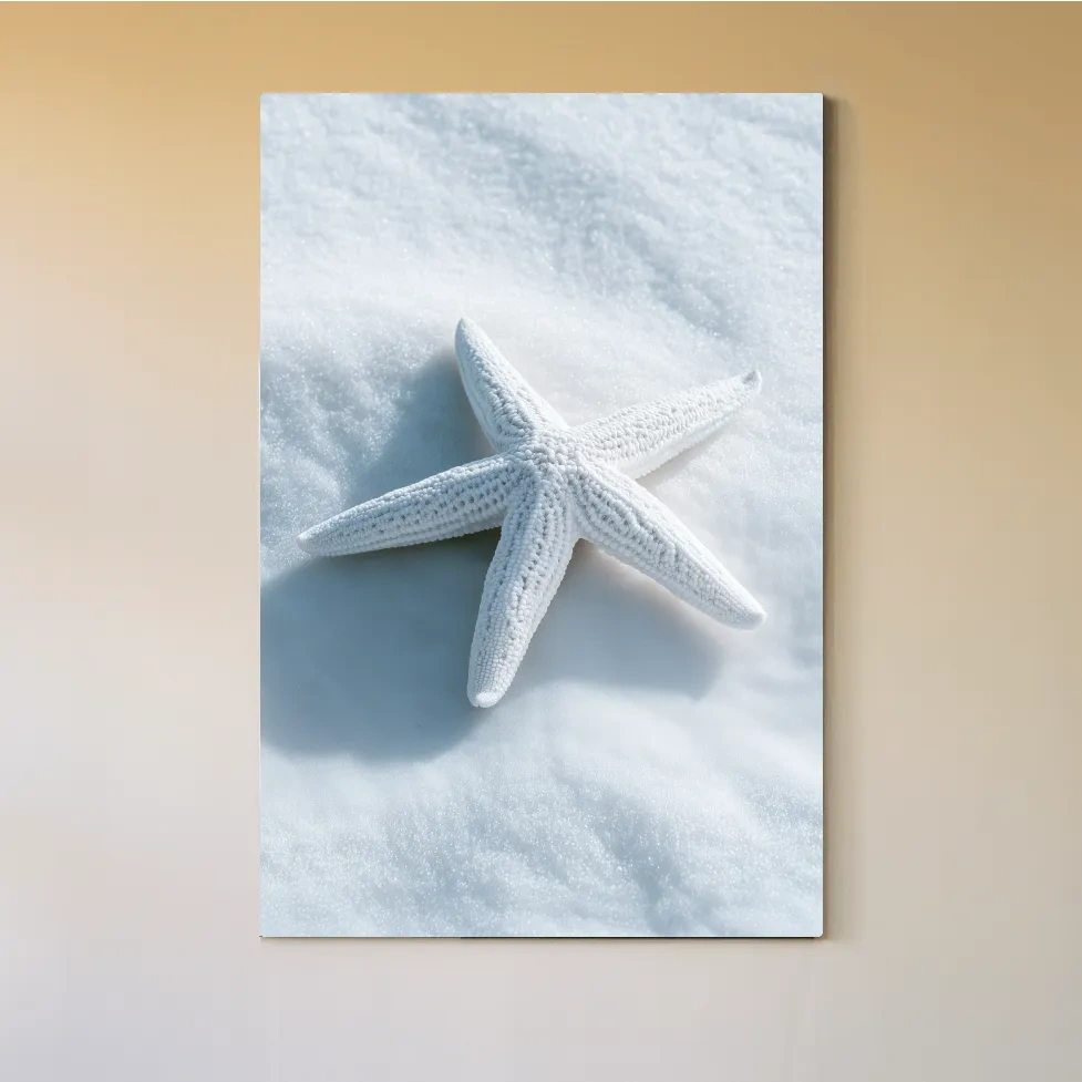 Minimalist Starfish Still Life - Hamptons Photographic Wall Art