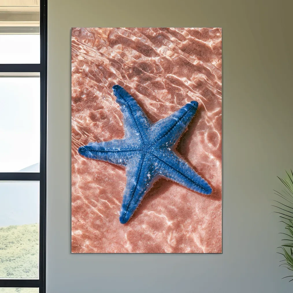 Minimalist Starfish Underwater View - Photographic Marine Life Wall Art