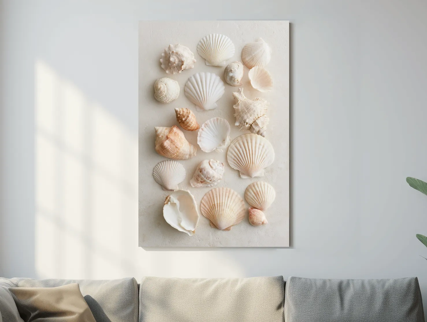 Hamptons Seashell Collection - Minimalist Photographic Coastal Wall Art