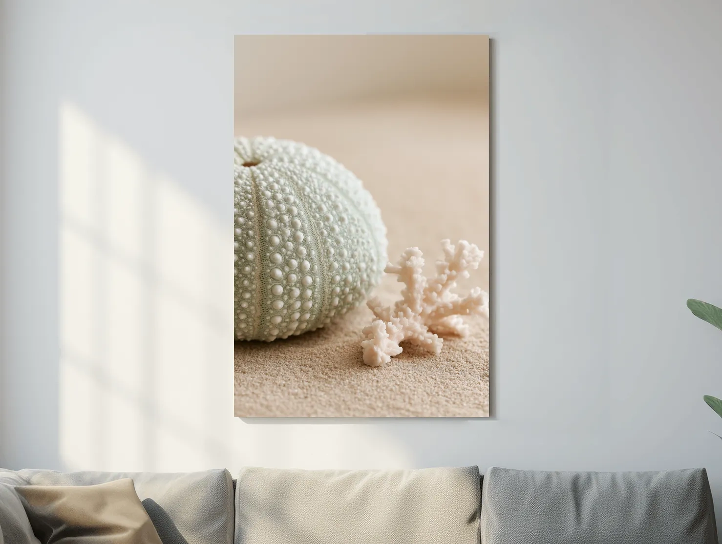Sea Urchin Shell and Coral - Photographic Coastal Wall Art
