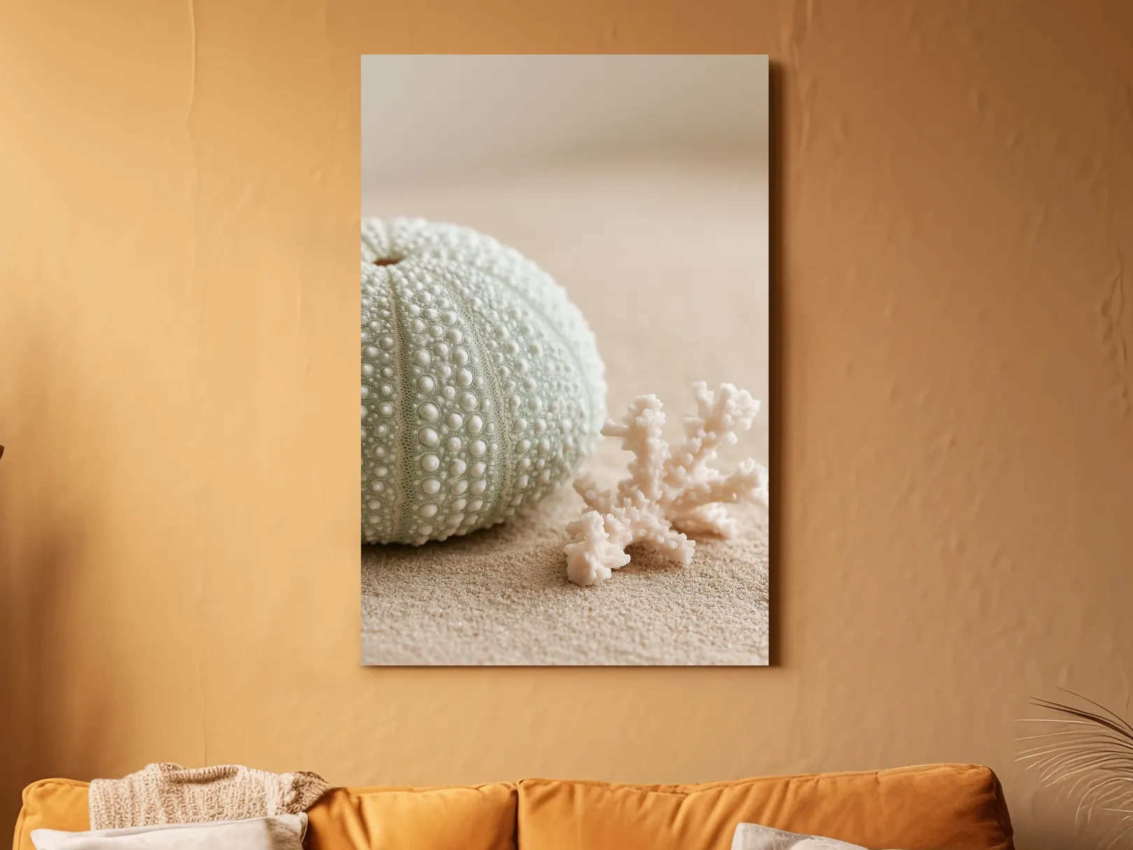 Sea Urchin Shell and Coral - Photographic Coastal Wall Art