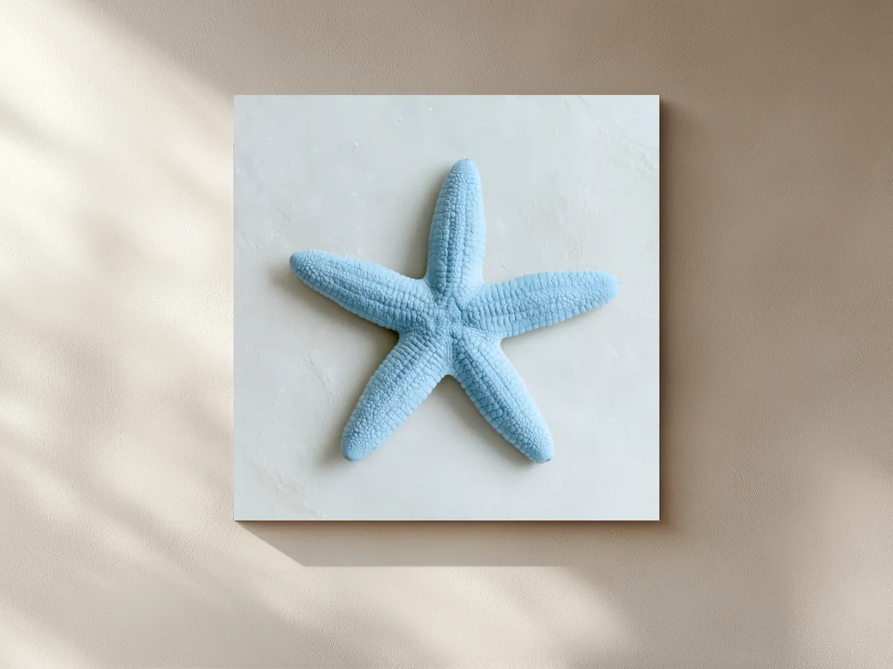 Minimalist Starfish Top View - Hamptons Photographic Marine Life Wall Art