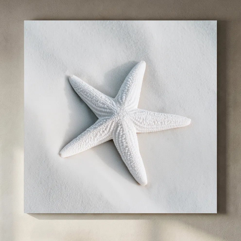 Minimalist Starfish Still Life - Hamptons Photographic Wall Art