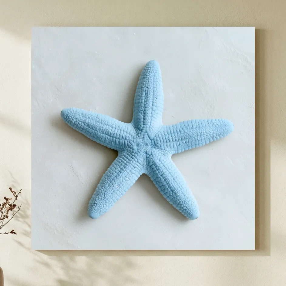 Minimalist Starfish Top View - Hamptons Photographic Marine Life Wall Art